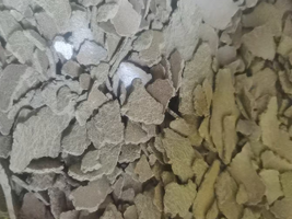 南瓜籽饼